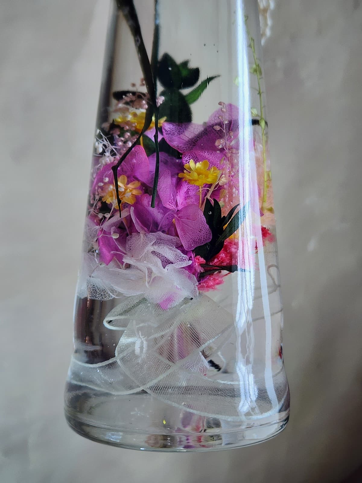 하바리움 5