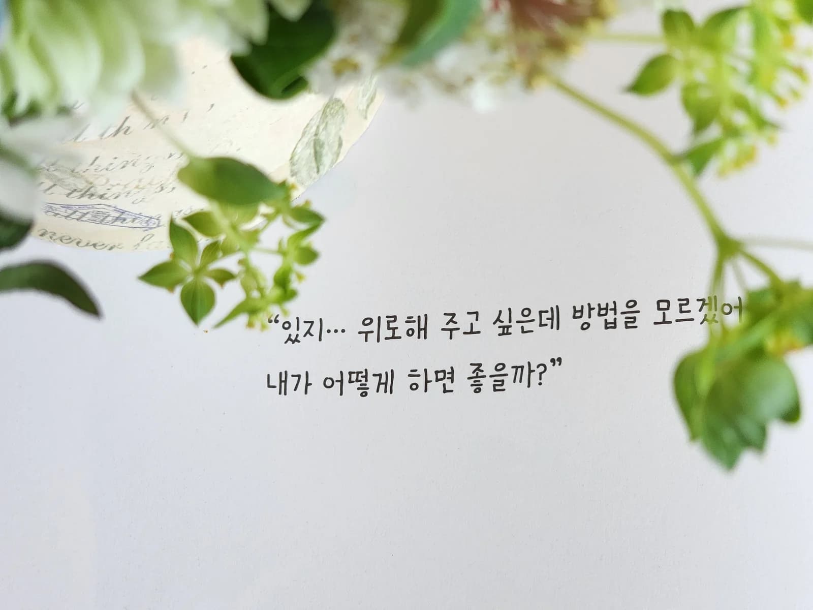 물조리개 꽃꽂이 17